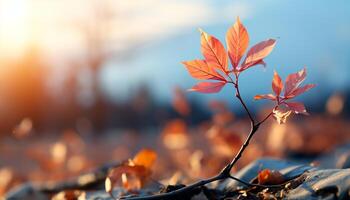 ai generiert das beschwingt Herbst Wald Vitrinen Natur Schönheit im multi farbig Blätter generiert durch ai foto