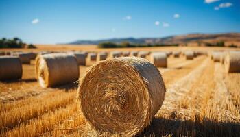 ai generiert ländlich Szene Landwirtschaft, Natur, Bauernhof, Wiese, Heuhaufen, Weizen, Ernte, Landschaft, Gelb, Sonnenuntergang generiert durch ai foto