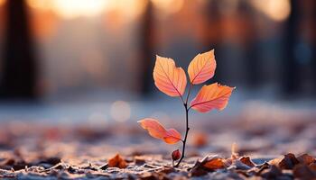 ai generiert beschwingt Herbst Farben Farbe das Wald im ein golden Farbton generiert durch ai foto