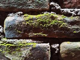 Hintergrund Foto von ein Stein Mauer und Moos auf es