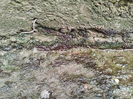 Hintergrund Foto von ein Stein Mauer und Moos auf es