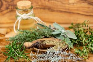 Kräuter von Französisch Provence auf Olive Holz foto