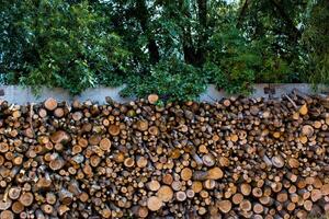 gefaltet hölzern Protokolle. hacken das Holz zum das Winter. Kreuz Sektion von das Baum. hölzern Hintergrund foto