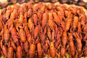 gekocht rot Langusten. Langusten bereit zu essen. Bier Snack. Flusskrebs zu Bier. Krebs foto