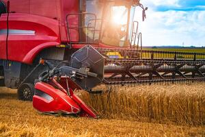 kombinieren Mähdrescher Arbeiten auf ein Weizen Feld. landwirtschaftlich Sektor. Weizen Ernte foto