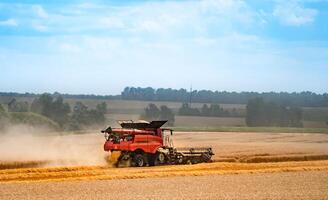 Mähdrescher Maschine Arbeiten im Feld . kombinieren Mähdrescher Landwirtschaft Maschine Ernte golden reif Weizen Feld. Landwirtschaft. Seite Sicht. foto