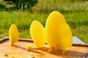 gerundet Bienenwabe mit Honig Stand auf das Bienenstock im das Sommer- im das Garten. Nahansicht foto