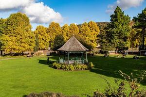 Landschaft Foto im Park