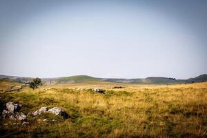 heiter Landschaft mit golden Gras und rollen Hügel unter ein dunstig Himmel. foto