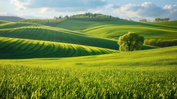 ai generiert klein Hügel geschmückt mit ein üppig Grün Gras Feld, der Natur einfach Schönheit, ai generiert. foto