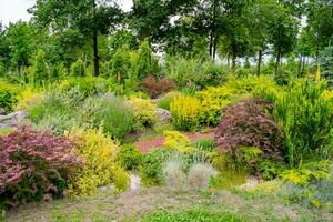 schön Landschaften von Blumen und Natur. Grün Gras und ziemlich blühen. foto