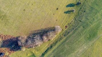 Antenne Aussicht von ein texturiert Landschaft mit kontrastieren Grün Felder und ein trocken Patch. foto