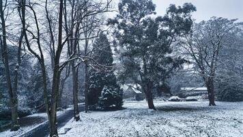 Winter Szene mit schneebedeckt Bäume und ein still Park Atmosphäre n Harrogate, Norden Yorkshire. foto