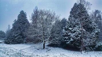 Foto von Winter Zeit im Harrogate
