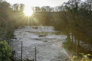 Sonnenuntergang Über ein heiter Fluss mit üppig Grün auf das Banken, Erfassen das still Schönheit von Natur. foto