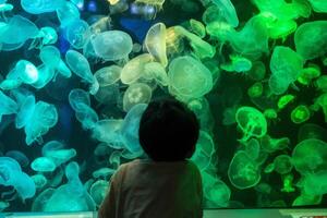 asiatisch Junge suchen beim Blau Grün Qualle im ein Marine Aquarium foto