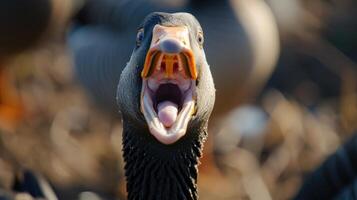 ai generiert Nahansicht Schuss erfasst ein wütend Gans im ein aggressiv Haltung, es ist Schnabel breit öffnen im Attacke Modus, ai generiert. foto