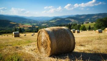 ai generiert ländlich Szene Heuhaufen im Wiese, golden Weizen, Blau Himmel generiert durch ai foto