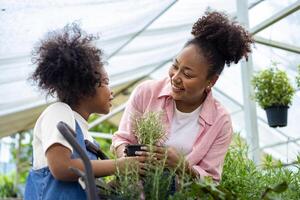 afrikanische mutter und tochter wählen gemüse- und kräuterpflanzen aus der örtlichen gärtnerei mit einkaufswagen voller sommerpflanzen für wochenendgärtnern und im freien foto