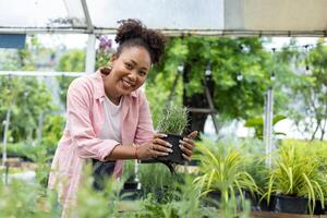 jung afrikanisch Kunde ist wählen Kraut und Gemüse Pflanze von lokal Garten Center Kindergarten mit Einkaufen Wagen voll von Sommer- Pflanze zum Wochenende Gartenarbeit und draussen Verfolgung foto