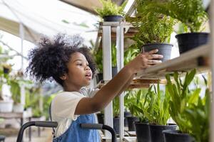 jung afrikanisch amerikanisch Kind ist wählen tropisch Farn und Zier Pflanze von das lokal Garten Center Kindergarten während Sommer- zum Wochenende Gartenarbeit und draussen Aktivitäten foto