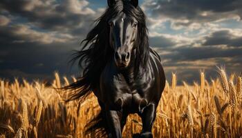 ai generiert Pferd Laufen kostenlos im still Wiese, Schönheit im Natur generiert durch ai foto