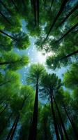 ai generiert Naturen Heiligtum Wald Bäume angesehen von unten in das Himmel Vertikale Handy, Mobiltelefon Hintergrund foto
