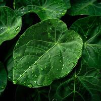 ai generiert Regentropfen verweilen auf frisch Grün Blätter, schließen oben Naturen Eleganz zum Sozial Medien Post Größe foto