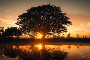 ai generiert Bäume durch Wasser beim Sonnenaufgang, groß Baum gegen steigend Himmel foto