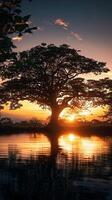 ai generiert Bäume durch Wasser beim Sonnenaufgang, groß Baum gegen steigend Himmel Vertikale Handy, Mobiltelefon Hintergrund foto