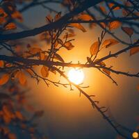 ai generiert Herbst Sonne leuchtet Silhouette von Baum Geäst, Erstellen heiter Atmosphäre zum Sozial Medien Post Größe foto