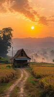 ai generiert Sonnenaufgang im das Landschaft Bauern Hütte in der Nähe von ein Reis Feld Straße Vertikale Handy, Mobiltelefon Hintergrund foto