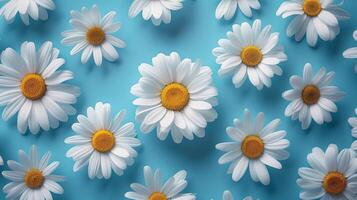 ai generiert Kamille Blumen Verbreitung aus auf beruhigend Blau Hintergrund. Frühling Pastell- Muster. Frische und Reinheit von Natur. still Desktop Hintergrund. ai generiert foto