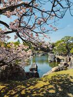 friedlich und spirituell Stelle im Japan foto