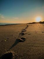 Fußabdrücke auf das Strand beim Sonnenuntergang foto