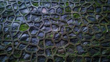 Textur von ein Stein Mauer. nass Stein Mauer mit Moos wachsend auf Stein foto