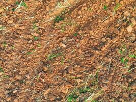 Antenne Aussicht von Landwirtschaft gepflügt Feld. minimal Bodenbearbeitung zum gesünder Böden. fruchtbar Boden im organisch landwirtschaftlich Bauernhof. Boden Erhaltung. nachhaltig Landwirtschaft. Boden Fruchtbarkeit. gepflügt Land. foto