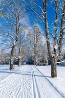 Langlaufloipe auf einer Winterstraße durch eine verschneite Landschaft 2 foto