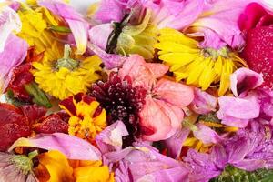 Blumen- Hintergrund mit gefroren bunt Blütenblätter. foto