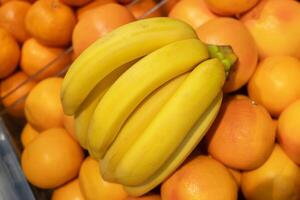 Ast von Gelb reif Bananen und Grapefruits. tropisch Früchte. foto