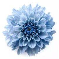 ai generiert Licht Blau Blume auf ein Weiß Hintergrund foto