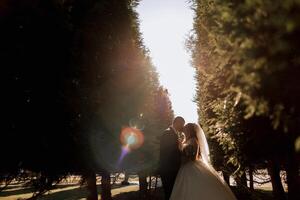 ein gut aussehend Bräutigam umarmt seine Braut im ein üppig Weiß Kleid und lächelt im ein schön draussen Einstellung. unter das öffnen Himmel. hoch Qualität Foto. ein frisch verheiratet Paar posiert zusammen auf ein sonnig Sommer- Tag. foto