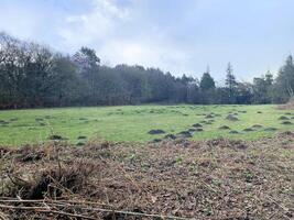 ein blick auf die landschaft von cheshire in peckforton foto