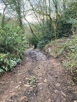 ein blick auf die landschaft von cheshire in peckforton foto