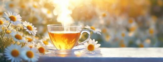 ai generiert Glas Tasse mit Kamille Tee beleuchtet durch Sanft Sonnenuntergang Licht. heiß trinken inmitten ein Feld von zierlich Blumen. Panorama mit Kopieren Raum. foto