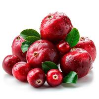 ai generiert Cranberry Beere auf Weiß isoliert Hintergrund - - ai generiert Bild foto