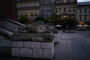 Statuen von Löwen auf das Main Platz von Krakau im das Abend foto