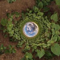 Blue Hole Sphäre kleiner Planet innerhalb des runden Rahmenhintergrunds des grünen Grases foto
