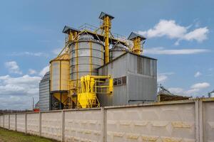 Silos und Agro-Verarbeitung Pflanze zum wird bearbeitet zum Trocknen Reinigung und Lager und Samen Vorbereitung Komplex foto