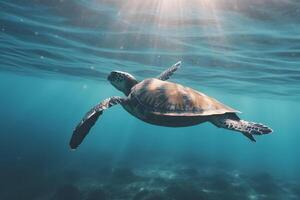 ai generiert Foto von Meer Schildkröte im das Galapagos Insel. neural Netzwerk ai generiert
